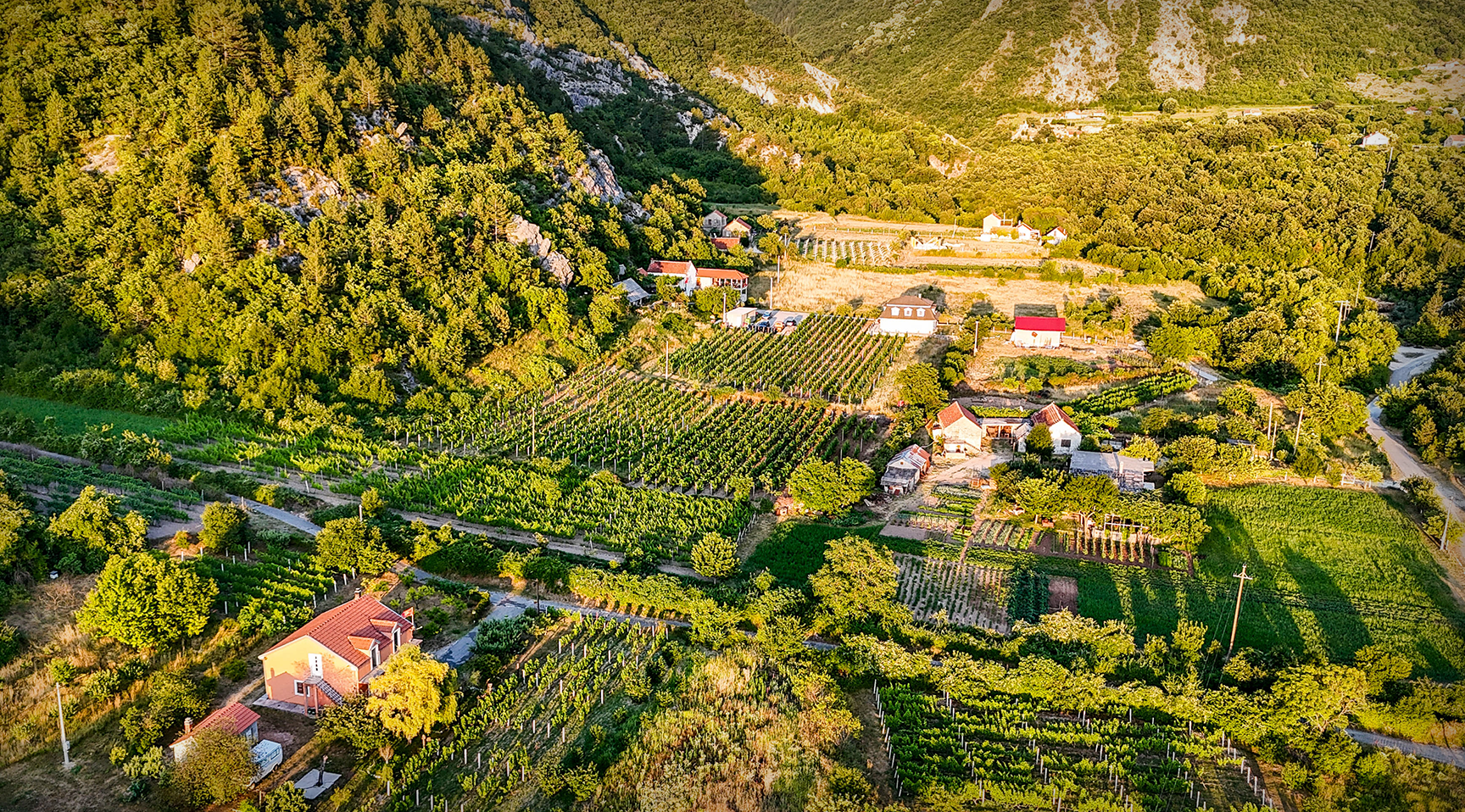 Vinski ručak u Vinariji Dabović – slika 2