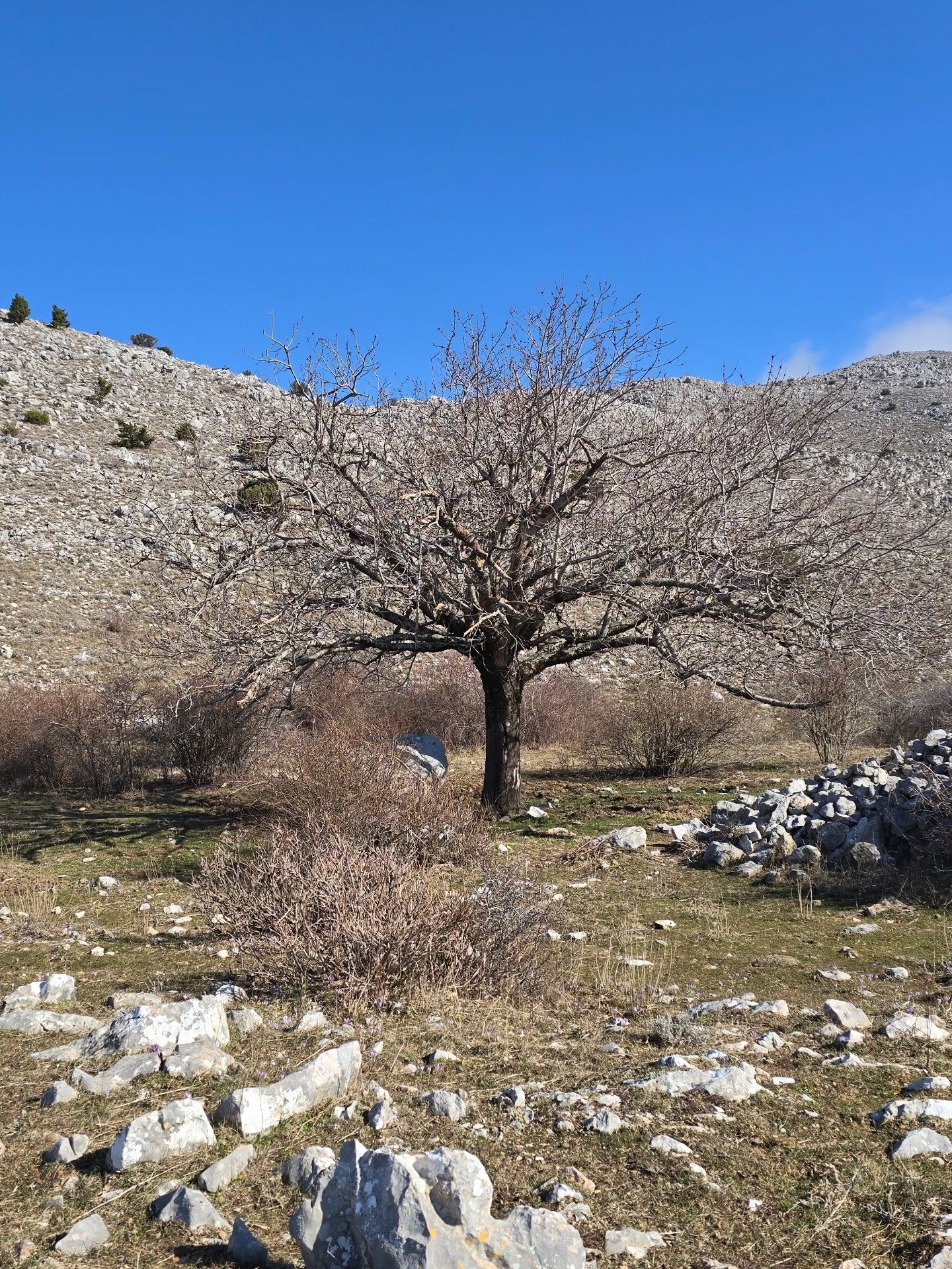 Uspon na Lisinj – panoramski pogled na Bar i južni Jadran – image 5