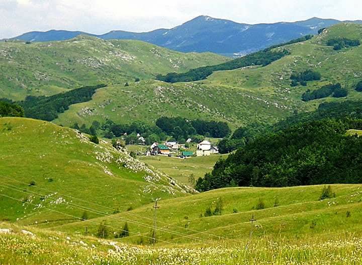 Lagana šetnja posle dobrog rucka – slika 5