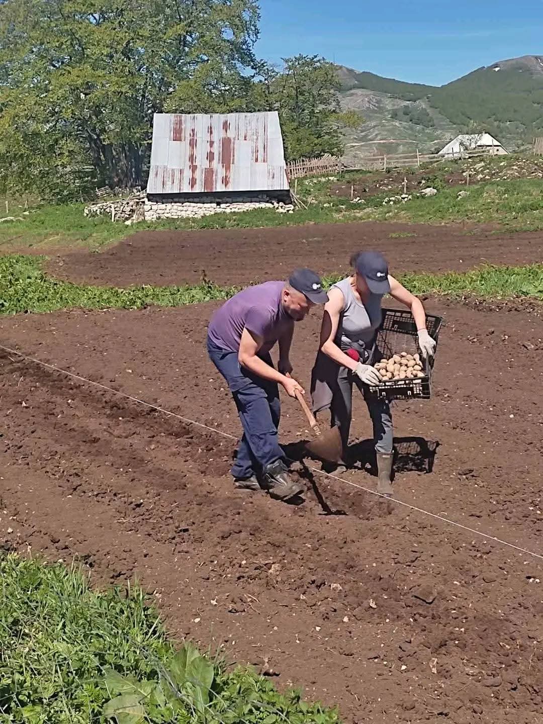 Lagana šetnja posle dobrog rucka – slika 8