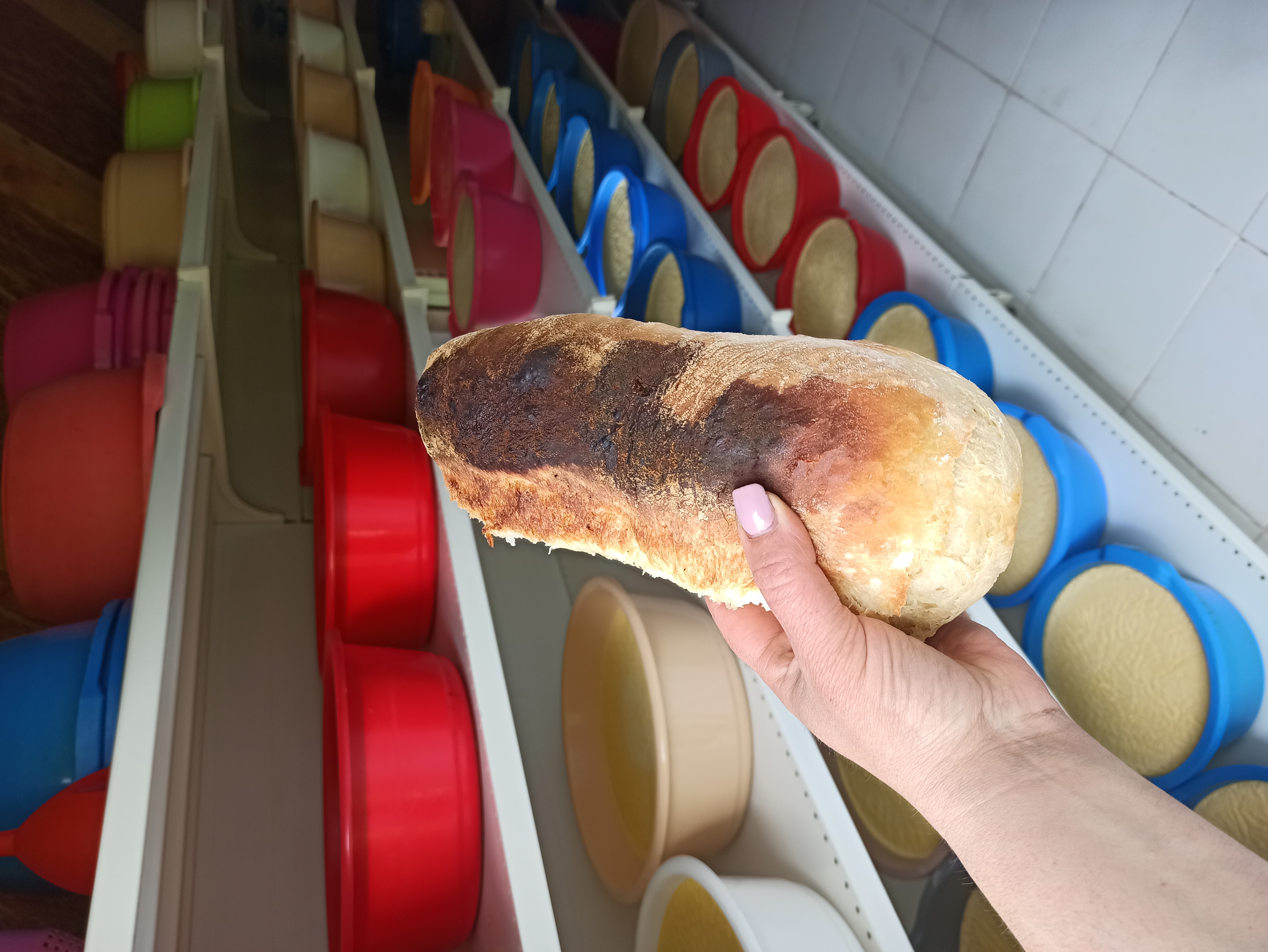 Lagana šetnja posle dobrog rucka – slika 37