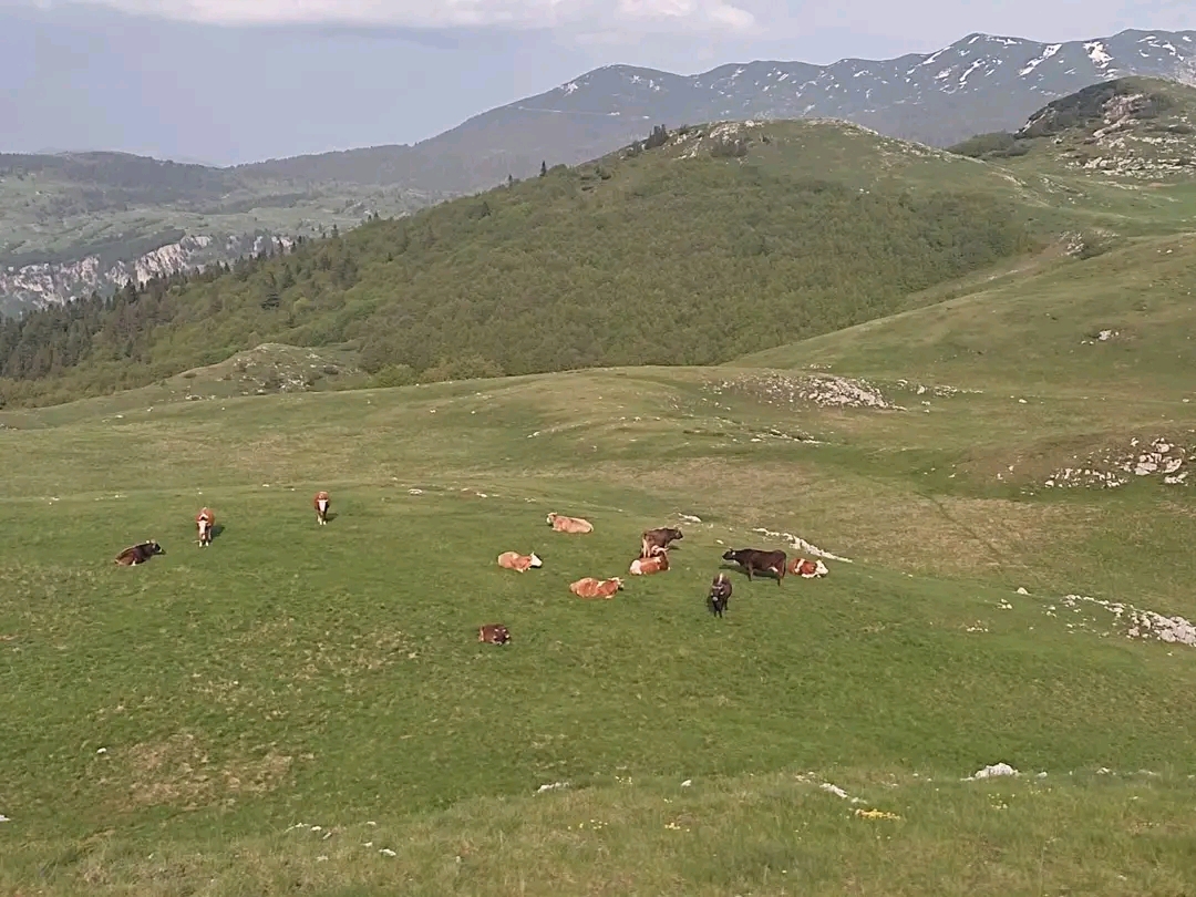 Lagana šetnja posle dobrog rucka – slika 23
