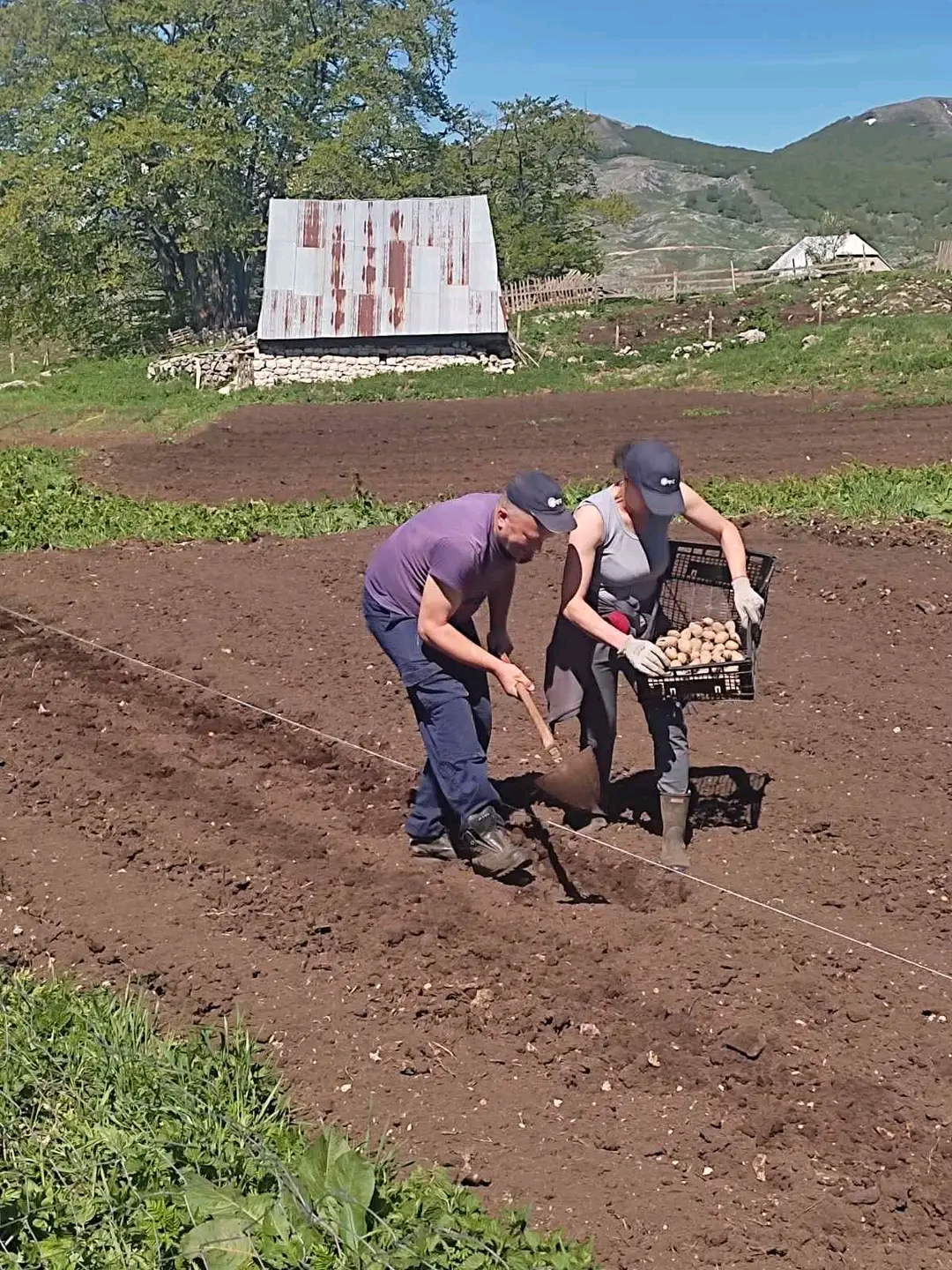 Lagana šetnja posle dobrog rucka – slika 22