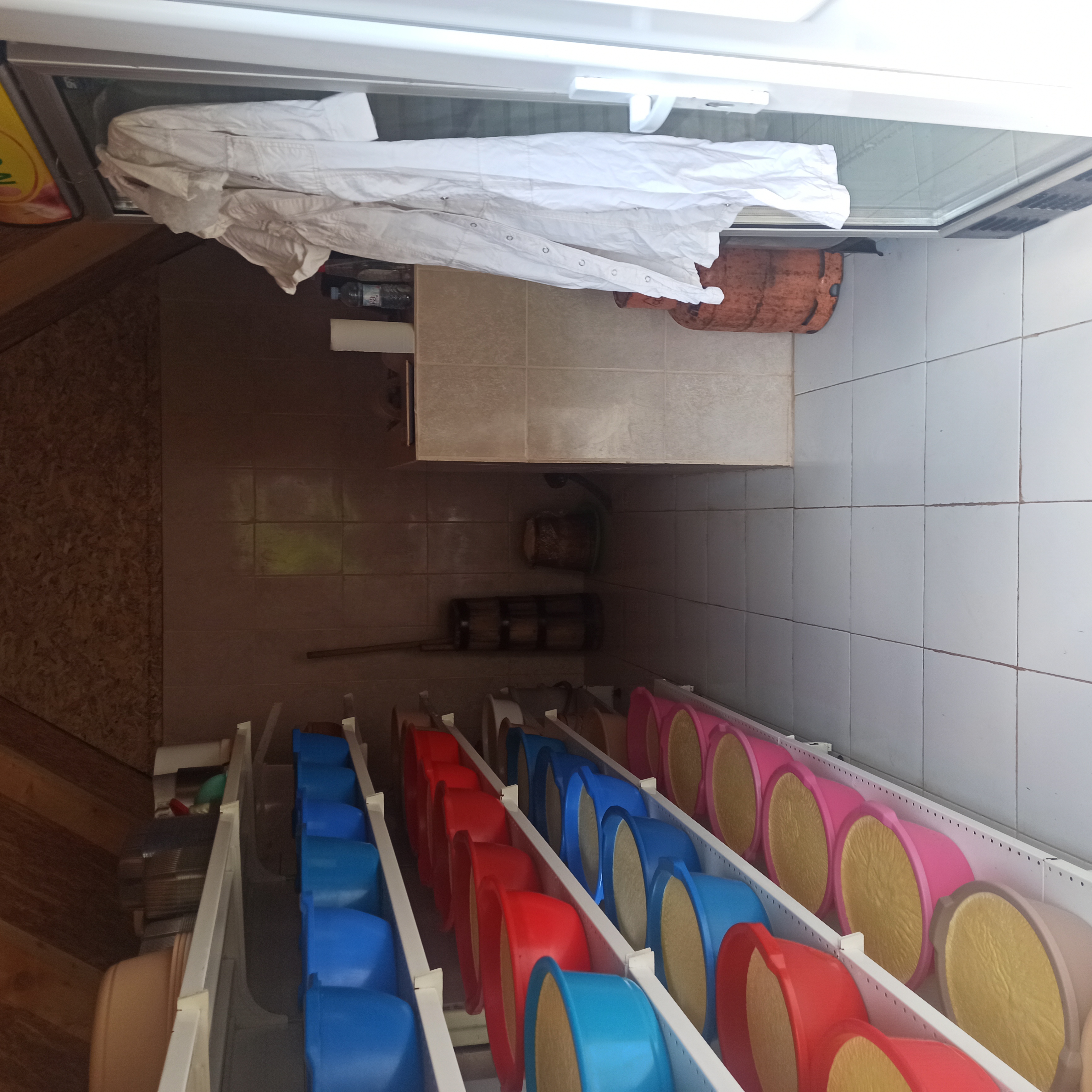 Lagana šetnja posle dobrog rucka – slika 33